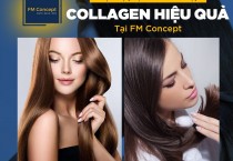 Dịch vụ phục hồi tóc bằng Collagen tươi tại FM Concept