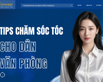 Tips chăm sóc tóc dành cho dân văn phòng 