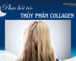 LIỆU PHÁP PHỤC HỒI TÓC COLLAGEN THỦY PHÂN CAO CẤP: GIẢI PHÁP CHUYÊN SÂU CHO MÁI TÓC HƯ TỔN NẶNG