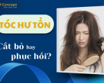 Tóc hư tổn: Nên cắt bỏ hay phục hồi – chuyên gia nói gì?