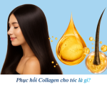 Phục hồi collagen cho tóc là gì? Giải pháp giúp tóc khô xơ trở nên mềm mượt hơn