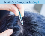 Nhổ tóc có mọc lại được không? Giải đáp chi tiết từ góc nhìn chăm sóc tóc