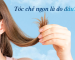 Tóc chẻ ngọn là gì? Nguyên nhân và cách khắc phục hiệu quả