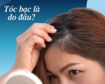 Tóc bạc sớm là gì? Nguyên nhân và cách khắc phục hiệu quả