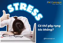 Stress có thể gây tóc rụng không? Sự thật đằng sau mái tóc yếu, gãy rụng vì căng thẳng