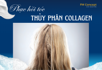 LIỆU PHÁP PHỤC HỒI TÓC COLLAGEN THỦY PHÂN CAO CẤP: GIẢI PHÁP CHUYÊN SÂU CHO MÁI TÓC HƯ TỔN NẶNG