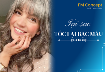 Vì sao tóc lại bạc sớm? Nguyên nhân và cách khắc phục