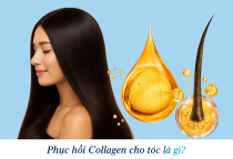 Phục hồi collagen cho tóc là gì? Giải pháp giúp tóc khô xơ trở nên mềm mượt hơn