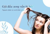 Gội đầu xong vẫn bị bết? Nguyên nhân và cách khắc phục hiệu quả để mái tóc luôn sạch khỏe