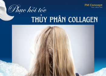LIỆU PHÁP PHỤC HỒI TÓC COLLAGEN THỦY PHÂN CAO CẤP: GIẢI PHÁP CHUYÊN SÂU CHO MÁI TÓC HƯ TỔN NẶNG