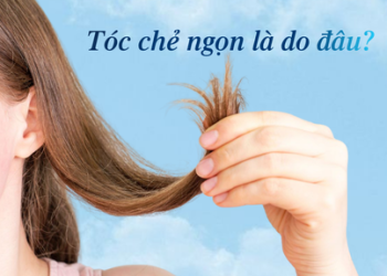Tóc chẻ ngọn là gì? Nguyên nhân và cách khắc phục hiệu quả