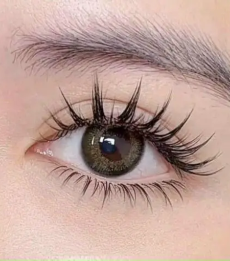 Nối ni chồn thiết kế 