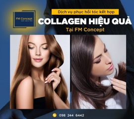 Dịch vụ phục hồi tóc bằng Collagen tươi tại FM Concept
